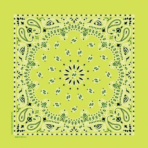 NT4410 Bandana Paisley Lime