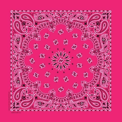 NT4413 Bandana Paisley Hot Pink